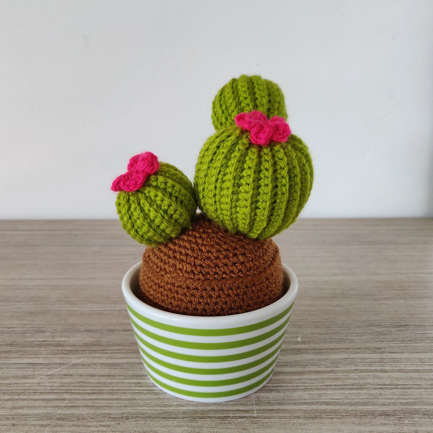 Haakpatroon Carrie de cactus