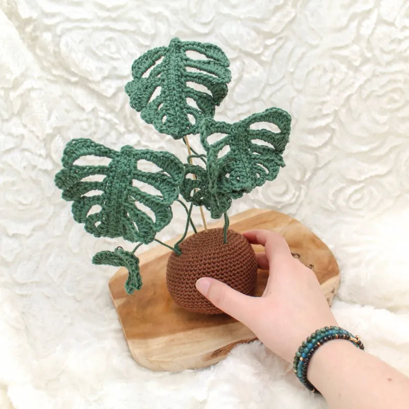 Haakpatroon monstera plantje