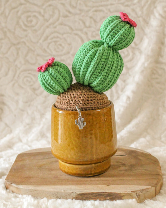 Haakpatroon Carrie de cactus