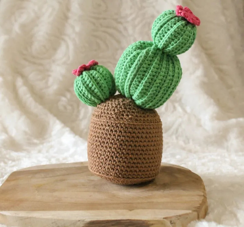 Haakpatroon Carrie de cactus