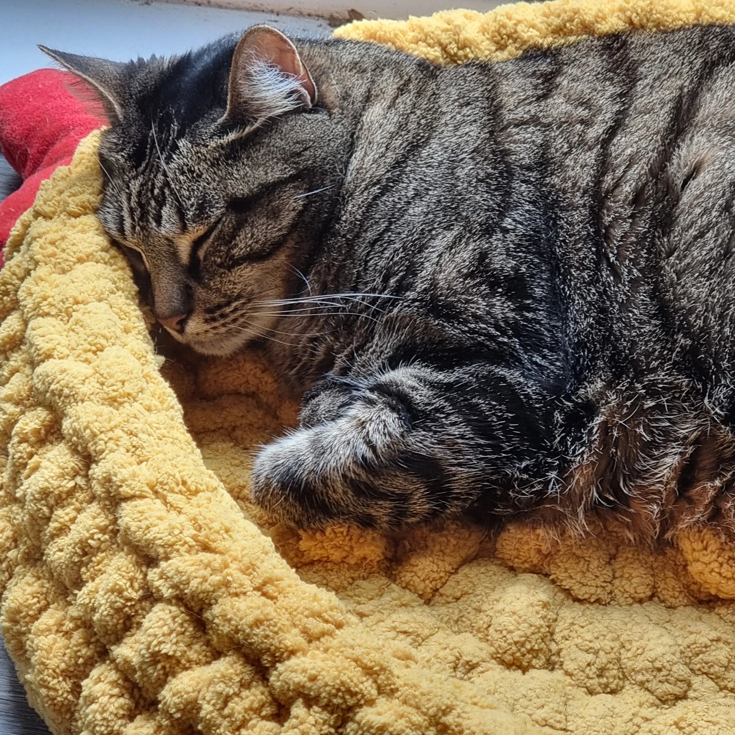 Haakpatroon kattenmand Kitty