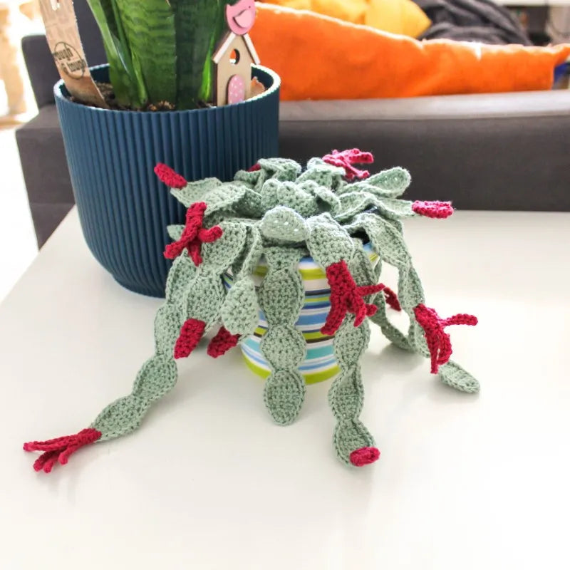Haakpatroon lidcactus Libby