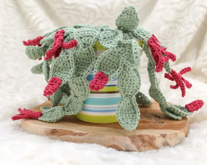 Haakpatroon lidcactus Libby