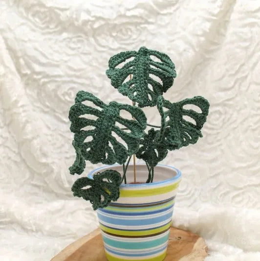 Haakpatroon monstera plantje
