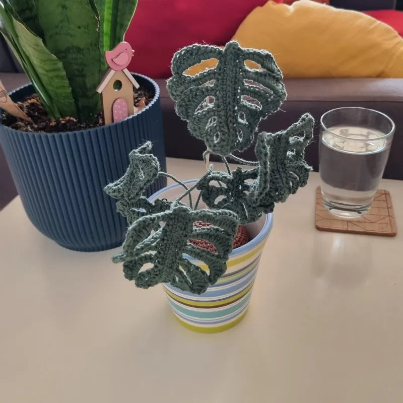 Haakpatroon monstera plantje
